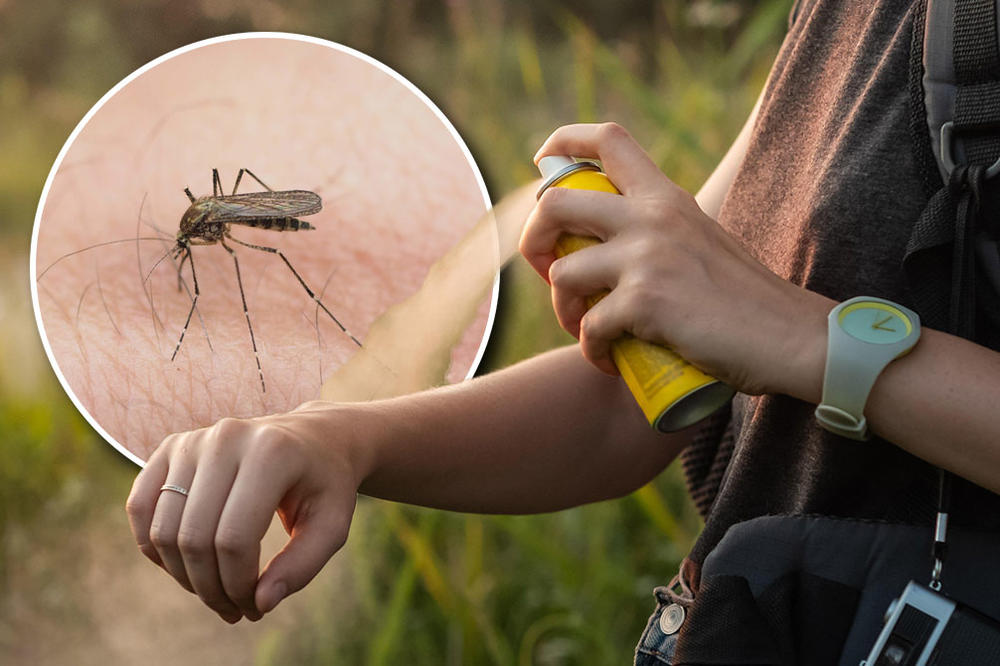 "BIĆE TEŠKO IZBORITI SE": Ove godine stručnjaci očekuju mnogo više komaraca, neprestano se razmnožavaju, biće PAKAO
