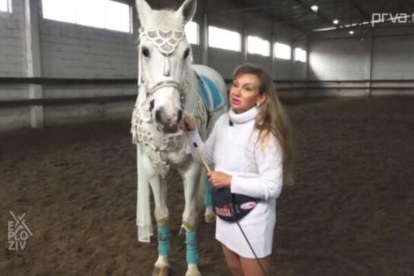 "BRENA JE SEDELA NA LANCU CEO ŽIVOT": Ruskinja Vlada dovela CIRKUS u SRPSKO SELO, konj putovao 14 DANA iz Rusije!