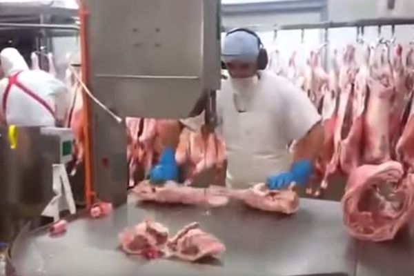 KAKAV RUČNI RAD: Pogledajte kako ovaj mesar seče svinjske polutke (VIDEO)