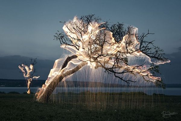 Priroda na struju: Ove nestvarne fotografije pokazaće vam novu dimenziju! (FOTO)