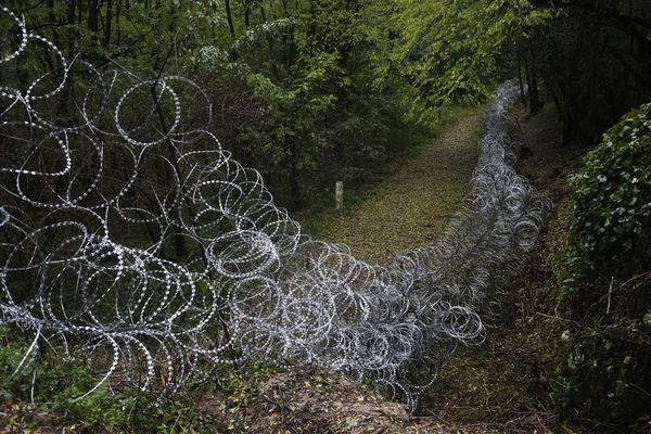 Mađarska žica teroriše divljač na granici sa Hrvatskom (FOTO) (VIDEO)