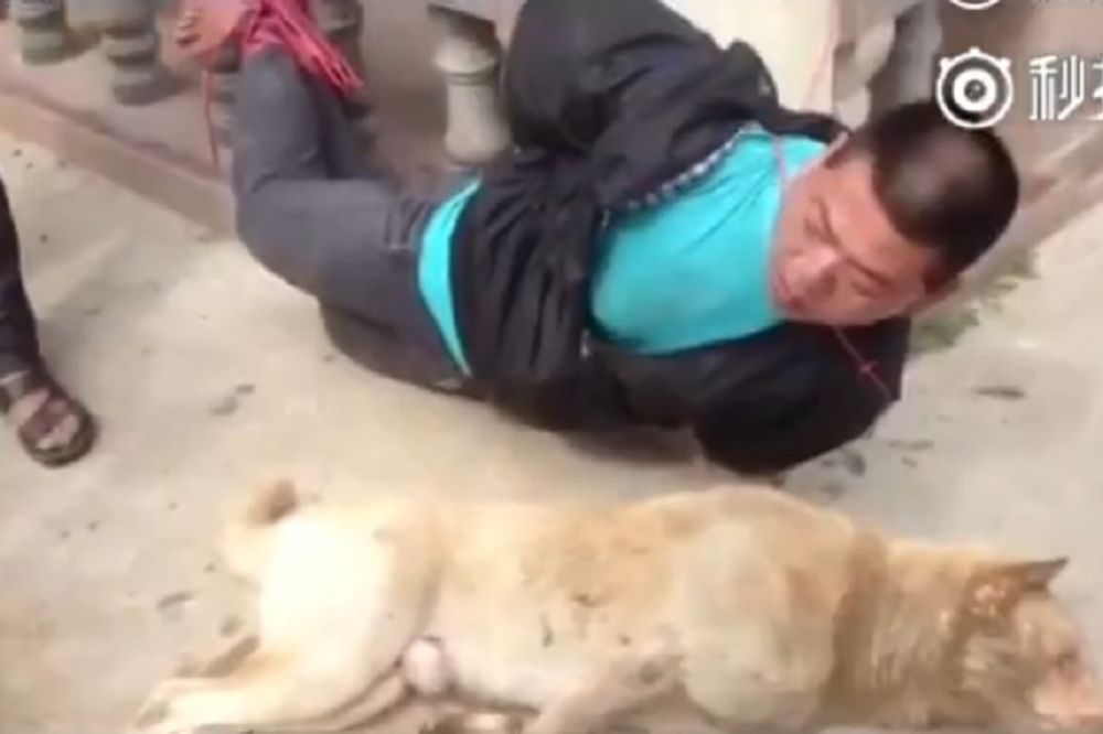 Kuku onome ko ukrade pseće meso od kineskog seljaka! (VIDEO)