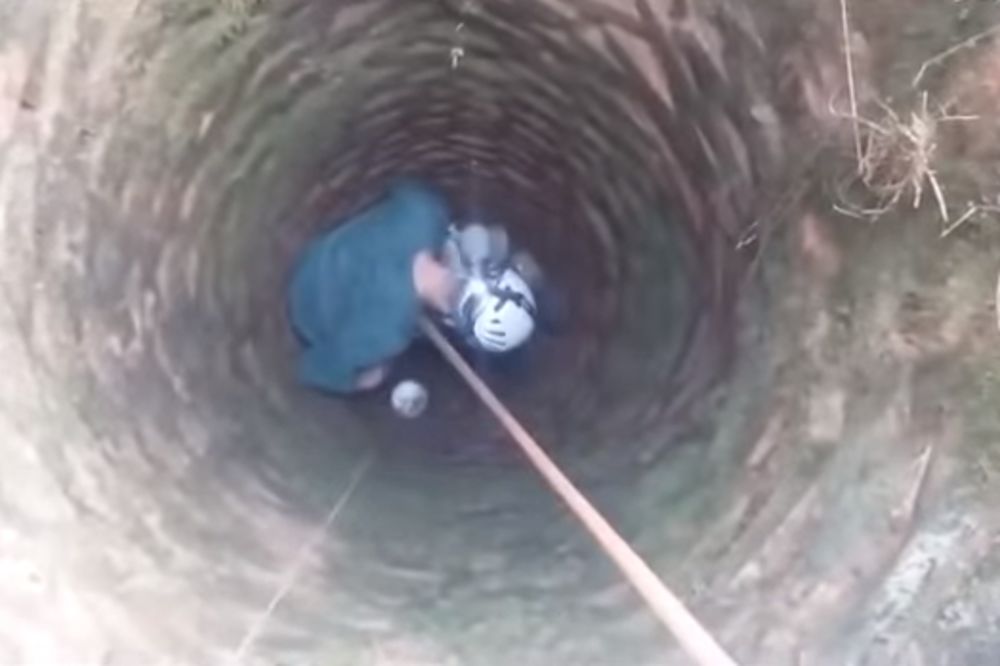 Čudesna sudbina slepog kučeta: Preživeo mesec dana na dnu bunara, dok nisu došli spasioci! (VIDEO)