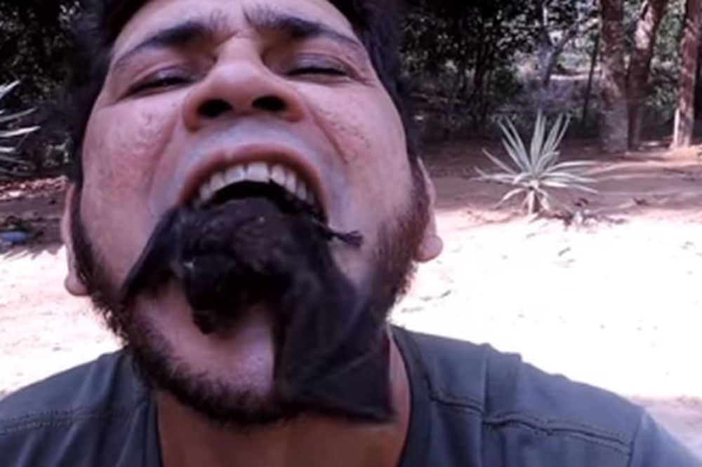 Ovaj čovek guta zmije, ali za to ima dobar razlog (UZNEMIRUJUĆI VIDEO)