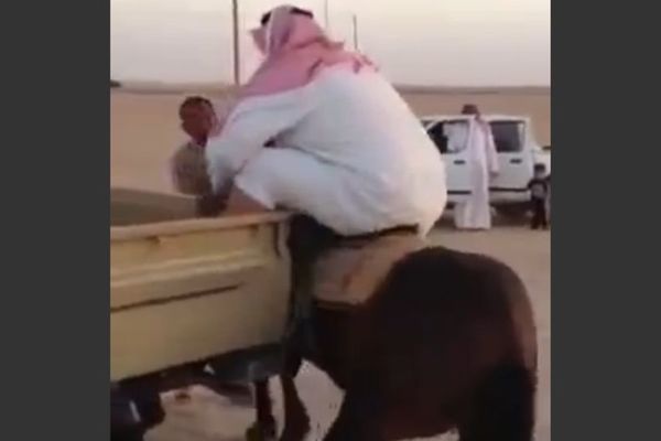 Buckasti Arapin pokušao da uzjaše konja, ali mu je on otkazao poslušnost! (VIDEO)