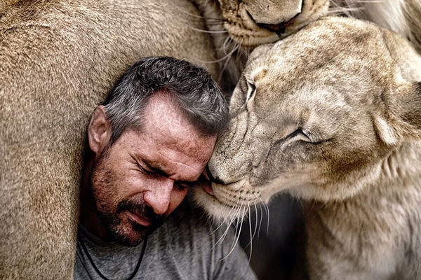 Šaptač lavovima: Neverovatne fotke ljubavi čoveka i zveri (FOTO) (VIDEO)