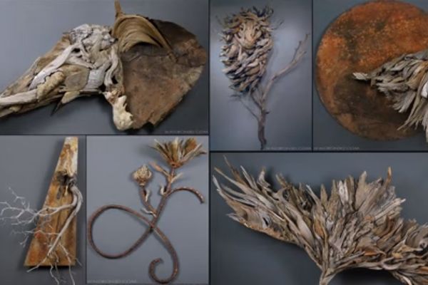 9 spektakularnih skulptura životinja od drveta i metala! (FOTO) (VIDEO)