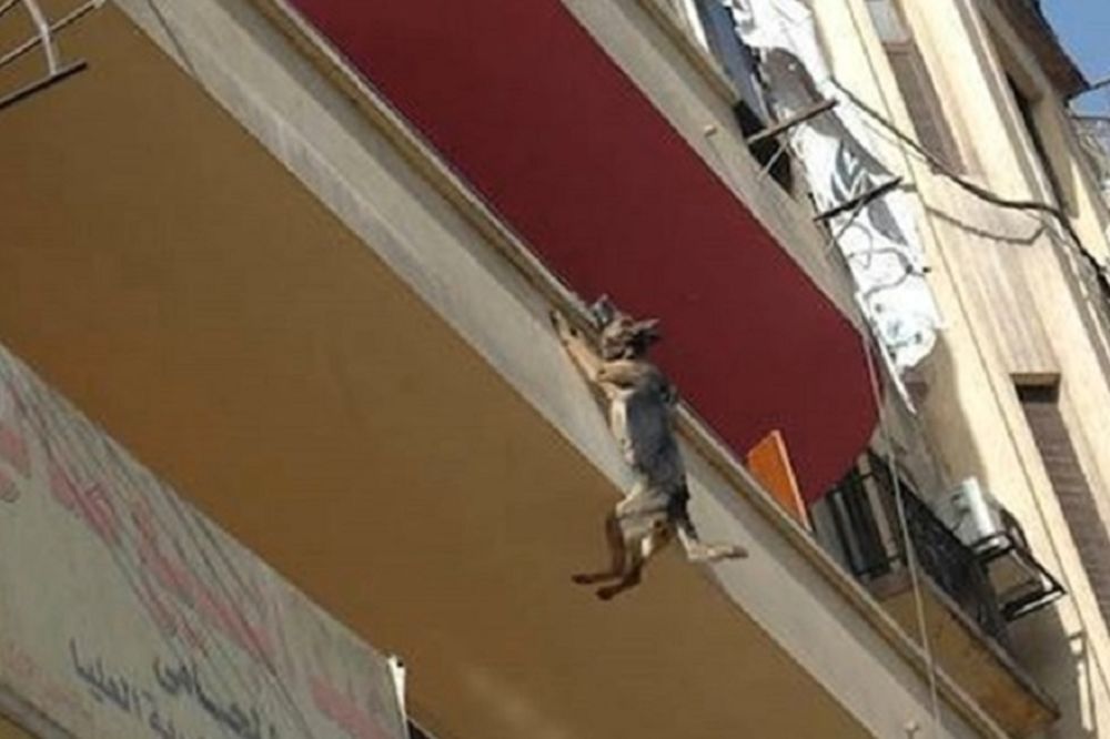 Pas je 5 sati visio sa balkona, a spasioci nisu ni sanjali ono što su zatekli (UZNEMIRUJUĆI VIDEO)