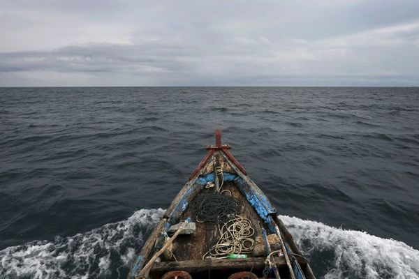 Hrvatski ribari ulovili ribu prepunu đubreta! (VIDEO)