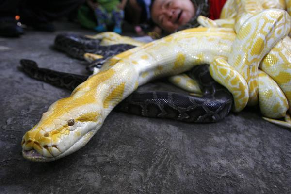 Ova zemlja je raj za sve koji se boje zmija - jer ih u njoj nema! (FOTO)