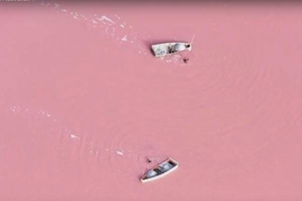 Kao da se kupate u voćnom jogurtu od jagode: Ružičasto jezero Retba u Senegalu (VIDEO)