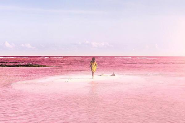 Raj na zemlji! 10 neverovatnih slika sa ružičaste plaže... Da, stvarno postoji! (FOTO)