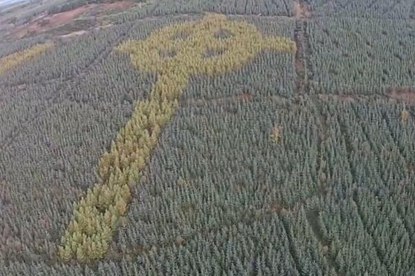 Misteriozni KRST SE POJAVIO usred šume! (VIDEO)