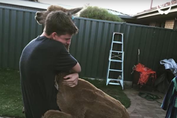 Majka mu nije dozvolila da uzme psa, a onda je kući došao sa...OVOM ŽIVULJKOM! (VIDEO)