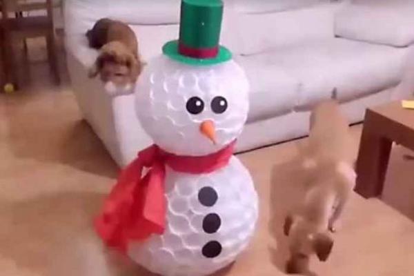 SNEŠKO BELIĆ U VAŠOJ DNEVNOJ SOBI: Napravite sneška od plastičnih čaša! (VIDEO)