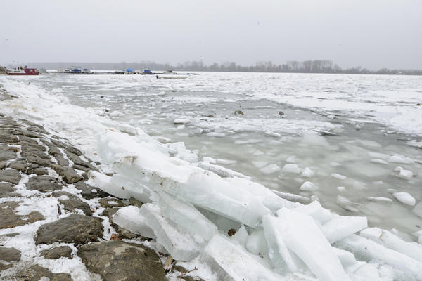 JP VODE VOJVODINE: Zbog niskih temperatura očekuje se novi priliv leda