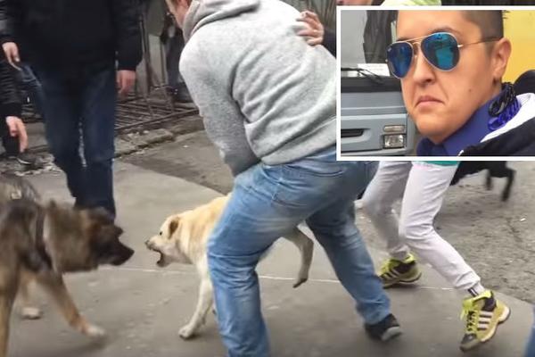 ŠOK SNIMAK Krvoločni psi se poklali i prekinuli intervju Marije Šerifović: Ovaj žuti je Brena! (VIDEO)