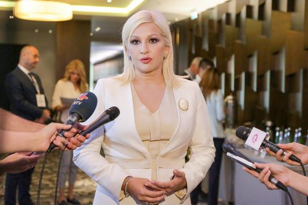 Ministarka Mihajlović: Očekujem da ću u novoj vladi raditi isti posao