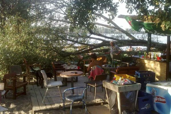DRAMA U NOVOM SADU: Drvo palo na kafić dok su gosti bili unutra! (FOTO)