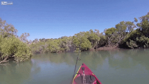 Taman je našao mirno mesto za pecanje, a onda se začula stravična tutnjava! (VIDEO)