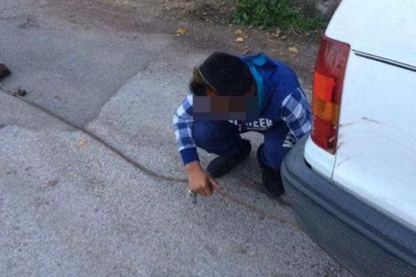 JEZIVI KRICI I ZAPOMAGANJE! Dečak iz Aleksinca vezao psa za automobil, pa dao gas! (FOTO)