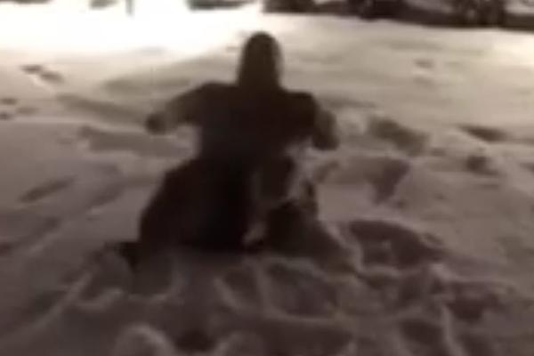 HOĆEMO HITNU OSTAVKU! Žestoka reakcija Grobara zbog snimka razgolićenog Vuletića kako se valja u snegu! (VIDEO)