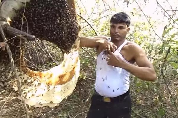 VIŠE NE OSEĆAM BOL! Ispod majice trpa na gomile pčela, ubolo ga preko njih 300, pada u nesvest, a otiču mu i ruke i noge!(VIDEO)