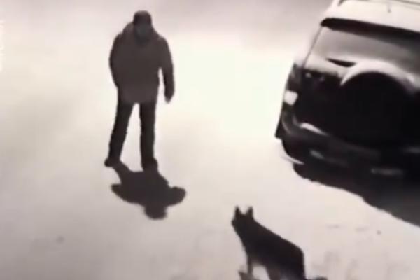 DOKAZ DA KARMA POSTOJI: Šutnuo je psa koji mu je išao u susret, odmah ga je sustigla KAZNA (VIDEO)