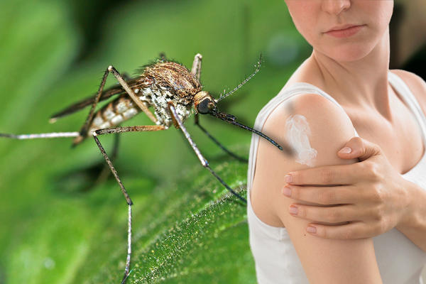 GRADSKA ČISTOĆA NASTAVLJA: I sutra akcija suzbijanja komaraca, evo u kojim opštinama
