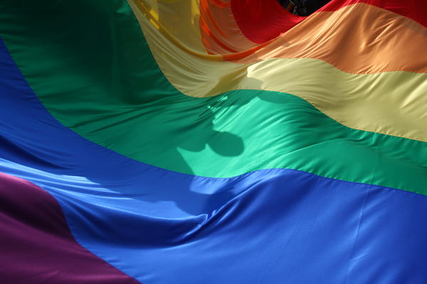 MIHAIL VOJČIK: "Homoseksualni par neće moći nikako da usvoji dete"