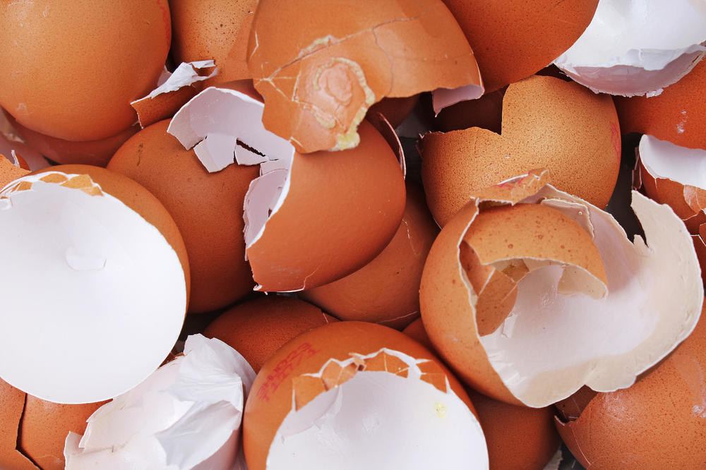 Velika nestašica jaja u Izraelu pred veliki verski praznik Pashu