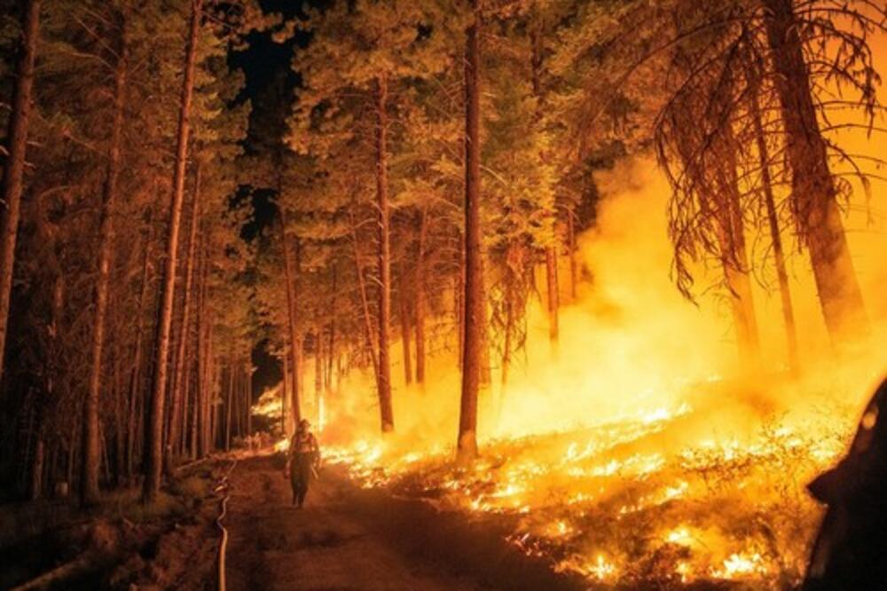 VATRENA STIHIJA: Više od 25 objekata izgorelo u šumskom požaru u Montani