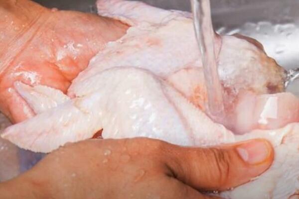 ISPRAVKA: Piletina nije puna hormona i antibiotika