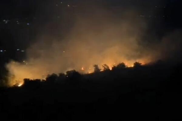 VELIKI POŽAR U PODGORICI! Vatrogasci na terenu, bore se sa stihijom (VIDEO)